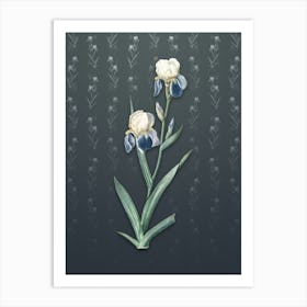 Vintage Elder Scented Iris Botanical on Slate Gray Pattern n.0304 Art Print
