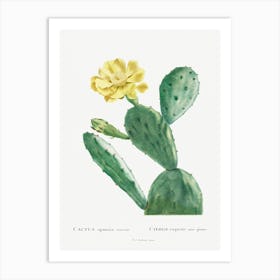 Cactus Opuntia Inermis, Pierre Joseph Redoute Art Print