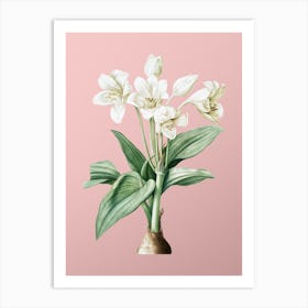 Vintage Crinum Giganteum Botanical on Soft Pink n.0005 Art Print