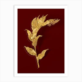 Vintage Treacleberry Botanical in Gold on Red n.0444 Art Print