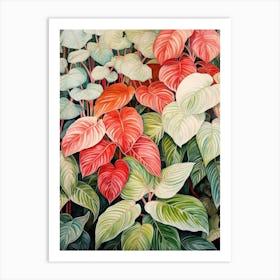 Tropical Plant Painting Fittonia White Anne Art Print