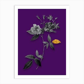 Vintage Hudson Rosehip Black and White Gold Leaf Floral Art on Deep Violet Art Print