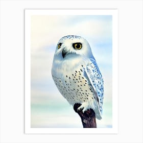 Snowy Owl 2 Watercolour Bird Art Print