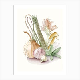 Garlic Spices And Herbs Pencil Illustration 1 Art Print