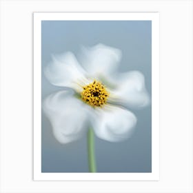 Whimsical Petals Modern Floral Photography Art Print