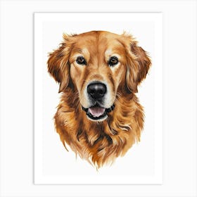 Golden Retriever Art Print