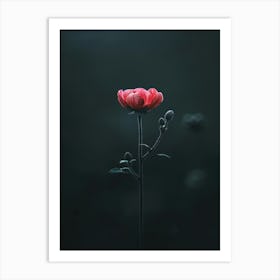 Single Pink Flower 10 Art Print