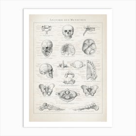 Vintage Brockhaus 3 Anatomie Mensch Art Print