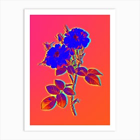 Neon White Damask Rose Botanical in Hot Pink and Electric Blue n.0028 Art Print