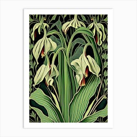 Jack In The Pulpit 2 Floral Botanical Vintage Poster Flower Art Print