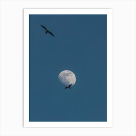 Moon And Seagulls Art Print