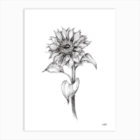 Black and White Sunflower Left Art Print