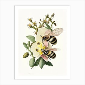 Pollination Bees 2 Vintage Art Print