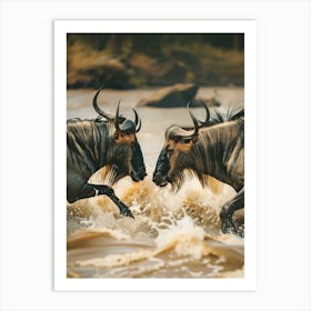 Wildebeest Fighting In The River Art Print