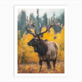 Elk In Autumn Art Print