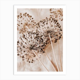 Dandelion Art Print