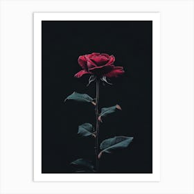 Black Rose 4 Art Print