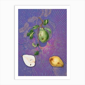 Vintage Pear Botanical Illustration on Veri Peri n.0373 Art Print