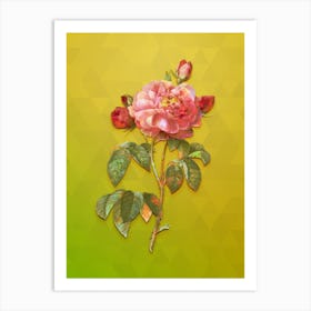 Vintage Duchess Of Orleans Rose Botanical Art on Empire Yellow n.0342 Art Print