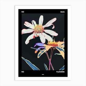 No Rain No Flowers Poster Daisy 1 Art Print