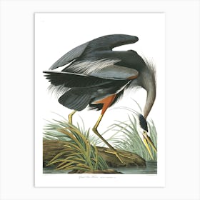 John James Audubon Great Blue Heron Art Print