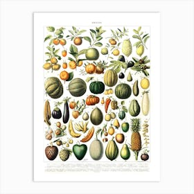 Fruits and Vegetables Vintage Art Print