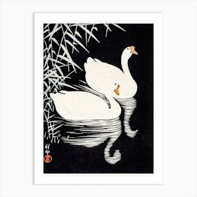 White Chinese Geese Swimming By Reeds, Ohara Koson Art Print
