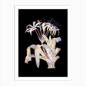 Stained Glass Crinum Erubescens Mosaic Botanical Illustration on Black Art Print