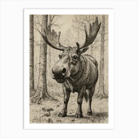 Moose In The Woods 1 Art Print