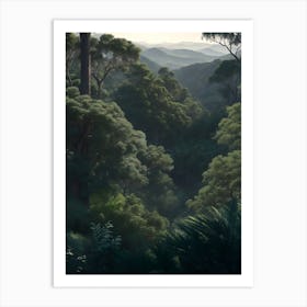 Valley Boasting Eucalyptus Trees And Fern Colonies Art Print