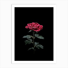 Black Rose 3 Art Print