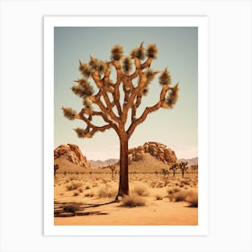  Photograph Of A Joshua Trees In Mojave Desert 1 Art Print