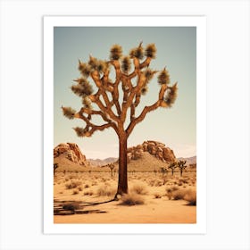 Photograph Of A Joshua Trees In Mojave Desert 1 Art Print