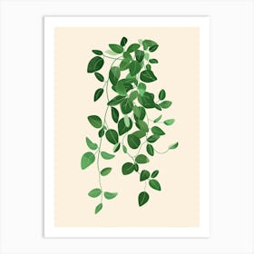 Wandering Jew Plant Minimalist Illustration 7 Art Print