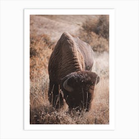 Rustic Bison Art Print