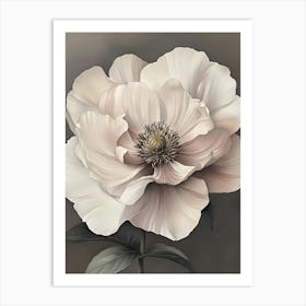 White Peony Art Print