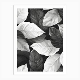 Black And White Tropical Leaves 2 Art Print