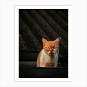 Portrait Of A Ginger Cat On The Roof Of A Building. Art Print