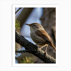 House Wren -Reimagined Art Print