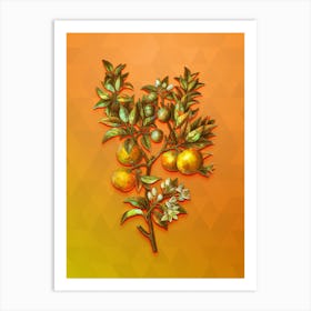 Vintage Bitter Orange Botanical Art on Tangelo n.0489 Art Print