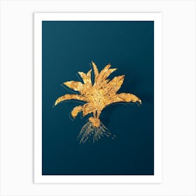Vintage Kaempferia Angustifolia Botanical in Gold on Teal Blue Art Print