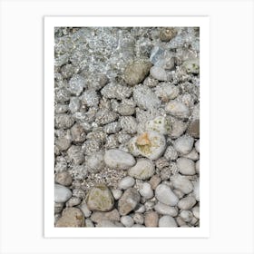 Clear water and white rocks and on the beach Art Print