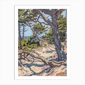 Pine Trees On The Beach Art Print