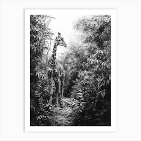 Pencil Portrait Of Giraffe In The Leaves 2 Art Print