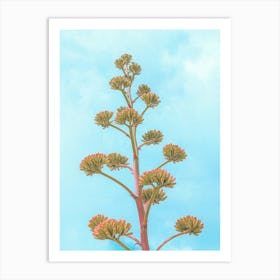 Agave Cactus "Century Plant" Flower Stalk Bloom Art Print