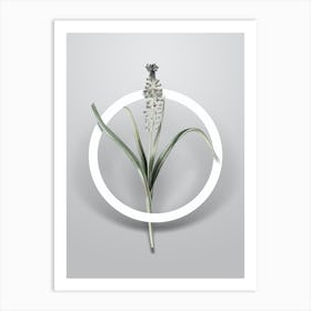 Vintage Grape Hyacinth Minimalist Botanical Geometric Circle on Soft Gray n.0150 Art Print