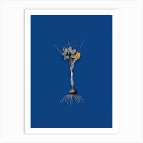Vintage Crocus Sativus Black and White Gold Leaf Floral Art on Midnight Blue n.0798 Art Print