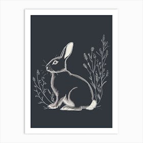 New Zealand Rabbit Minimalist Illustration 3 Art Print