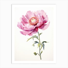 Peony Wildflower At Dawn In Watercolor (2) Art Print