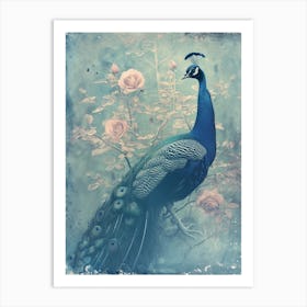 Turquoise Peacock With Roses Cyanotype Inspired  1 Art Print